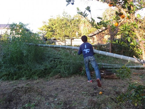 竹狩り