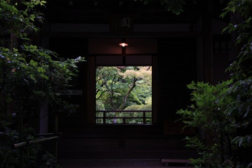 kyoto12