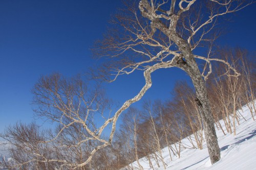 myoko03