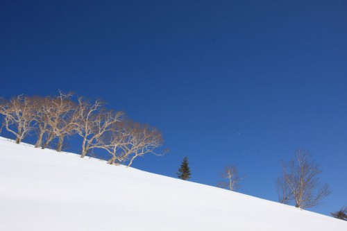 myoko04