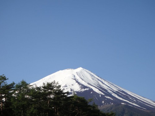 fujisan01