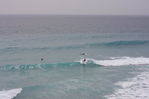 niijima01