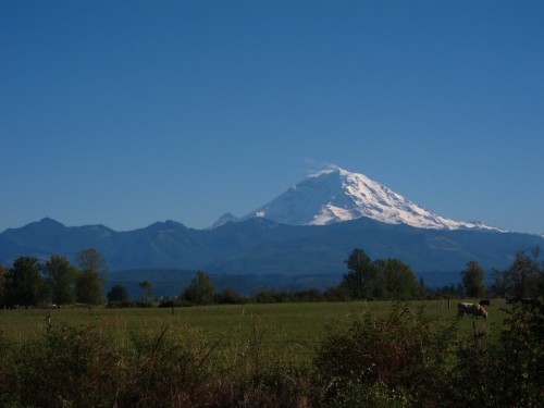 rainier02