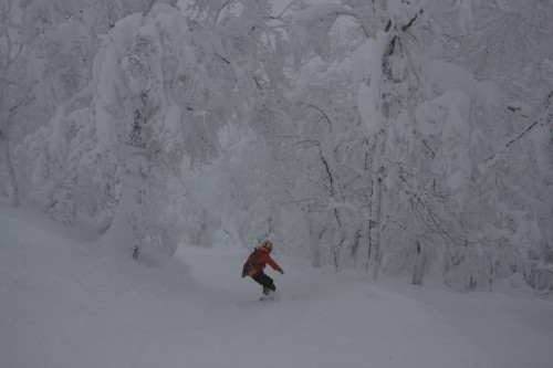 tohoku05